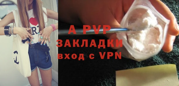гидра Чекалин