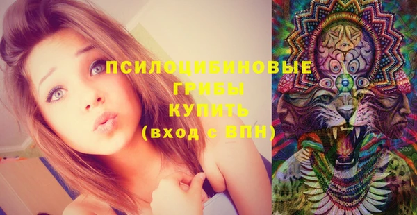 гидра Чекалин
