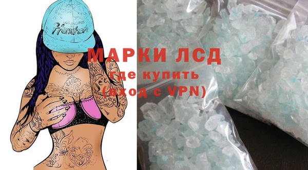 гидра Чекалин
