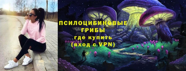 гидра Чекалин