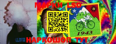 спайс Аргун