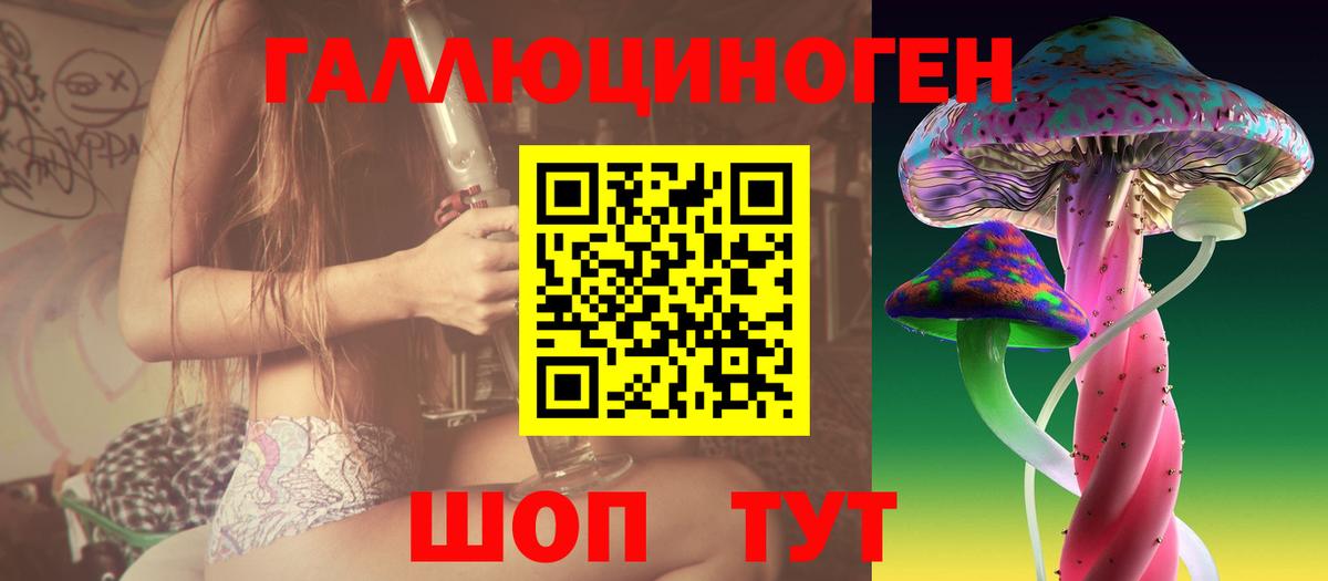 даркнет сайт  Белгород  Псилоцибиновые грибы Psilocybine cubensis 