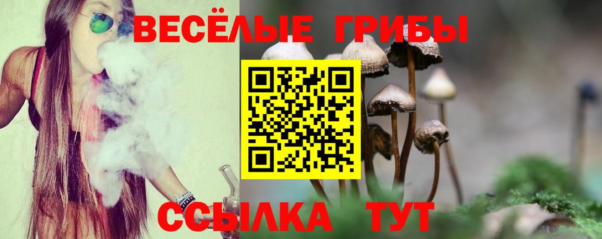 Белгород  Галлюциногенные грибы мухоморы  Вход с VPN 